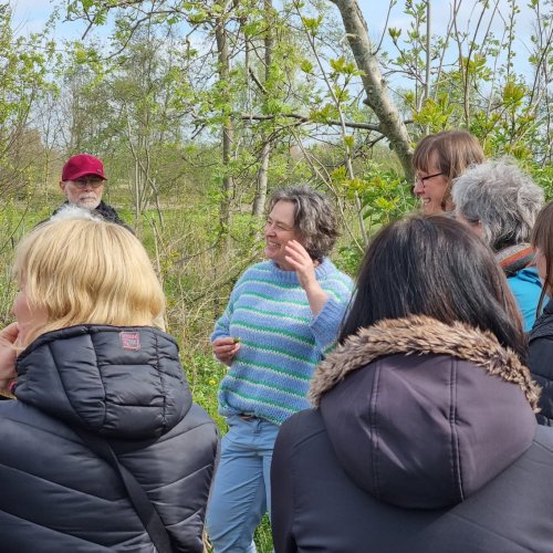 Wildpluk aperitief in Zele